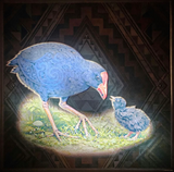 Pukeko Light-Up Canvas